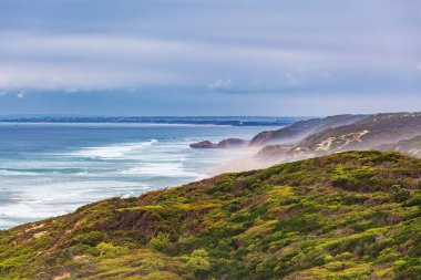 Okyanus kıyısı manzarası, kıyı bitki örtüsü ve kırılan dalgalarla