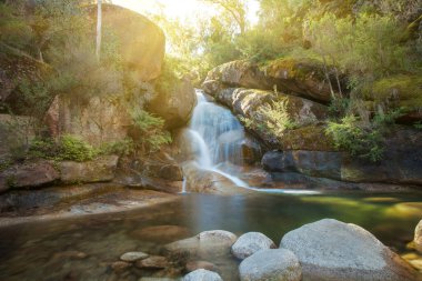 Bayanlar Bath Falls, Buffalo Dağı Ulusal Parkı, Victoria, Avustralya