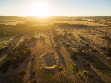 Kanguru Adası otlakları ve çayırları gün batımında hava manzarası