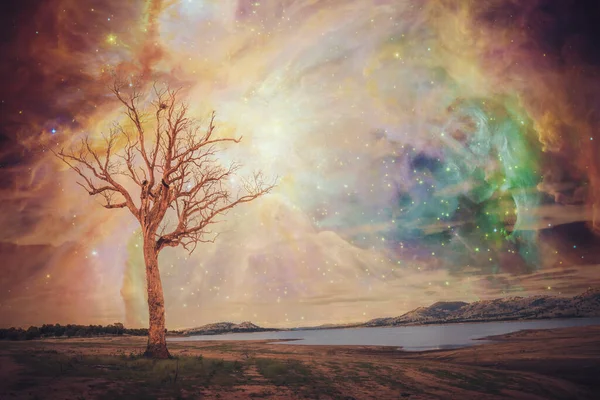 Фантастический Пейзаж Инопланетной Планеты Дерево Стоящее Возле Озера Яркой Галактикой — стоковое фото