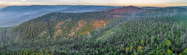 Αεροφωτογραφία Του Εθνικού Πάρκου Yarra Ranges Στη Βικτώρια Της Αυστραλίας — Φωτογραφία Αρχείου