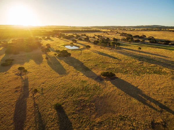 Kangaroo Island Ländliche Gegend Bei Sonnenuntergang Luftaufnahme — Stockfoto