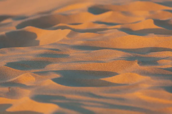 Strandsand Närbild Vid Solnedgången — Stockfoto