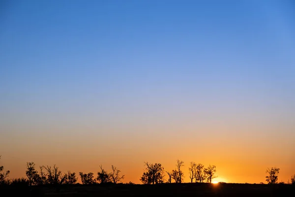 Pôr Sol Sobre Árvores Com Gradientes Cores Suaves Azul Para — Fotografia de Stock