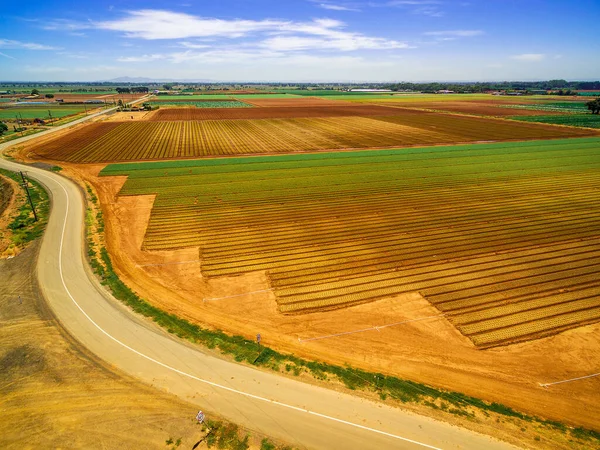 Parlak yaz gününde yeşil ve kahverengi tarlaların ve dolambaçlı yolların havadan manzarası