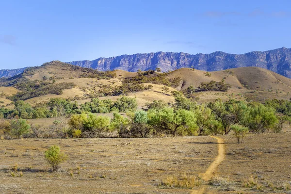 Lanskap Jangkauan Flinders Australia Selatan — Stok Foto