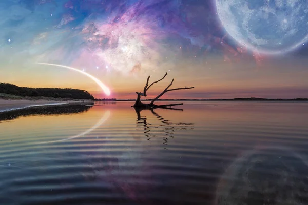 Fantasy Landscape Driftwood Reflecting Water Huge Planet Sky Galaxy Comet — Stock Photo, Image