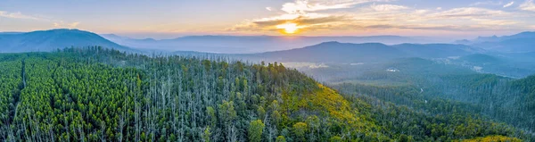 Sunset Mountains Forest Yarra Ranges National Park Aerial Panoramic Landscape — Stock Photo, Image