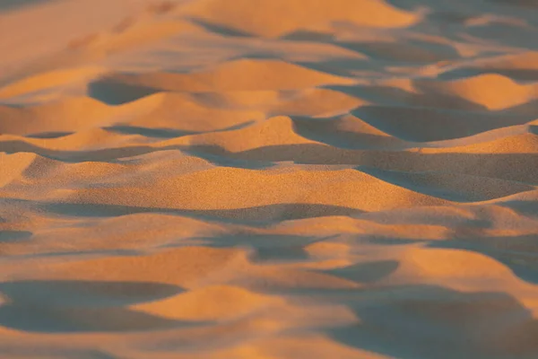 Ekstremalne Zbliżenie Piasku Zachodzie Słońca Płytką Ostrością — Zdjęcie stockowe