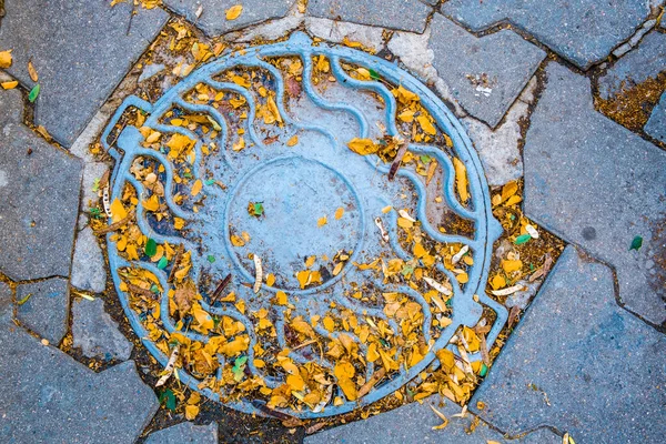 Blick Auf Gullydeckel Mit Gelben Herbstblättern — Stockfoto