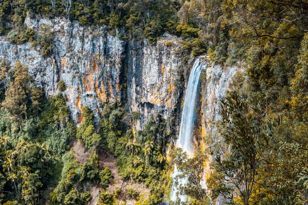 Piękny Wysoki Wodospad Rainbow Falls Park Narodowy Springbrook Qld Australia — Zdjęcie stockowe