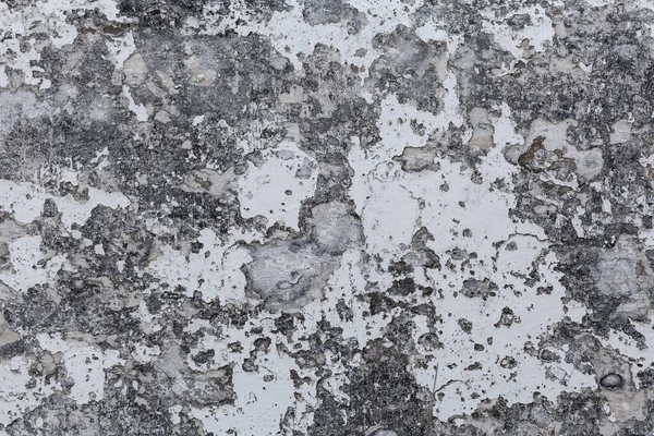 Grungy Piatra Ciment Suprafata Peeling Alb Vopsea Fundal Textura — Fotografie, imagine de stoc