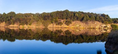 Mavi gökyüzünün altında suyla yansıyan ağaçların güzel manzarası.