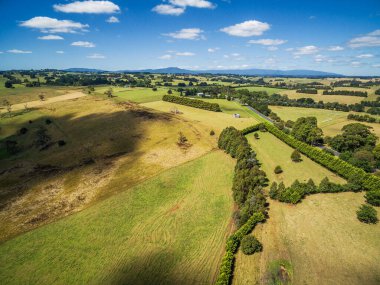 Parlak yaz gününde güzel bir kırsal alan.