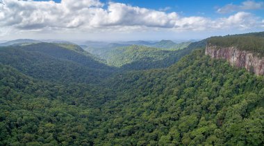 Queensland, Avustralya 'daki Springbrook Ulusal Parkı' nın hava manzarası