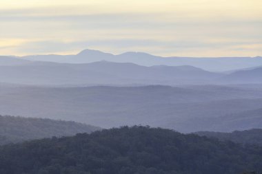Ormanlık tepeler kopyalanmış alanla uzaklarda kayboluyor