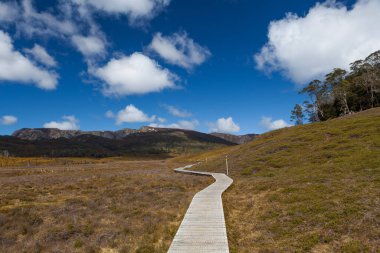 Güneşli bir günde Cradle Mountain Ulusal Parkı 'nın dağlık kesimlerinde tahta tahta kaldırım. Tazmanya, Avustralya