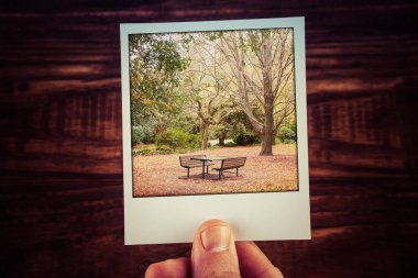 Male hand holding instant photo of autumn scene - empty picnic table, foliage, and bare trees with copy space. Travel memories of good old times clipart