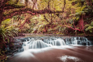 Purakaunui Nehri 'nde küçük ama güzel bir akıntı, Catlins, Güney Adası, Yeni Zelanda