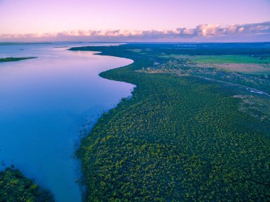 Gün batımında güzel okyanus kıyısında büyüyen mangrov ağaçlarının havadan görünüşü. Melbourne, Avustralya