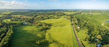 Avustralya, Yeni Güney Galler 'de günbatımında kırsal ve macadamia çiftliklerinin hava manzarası