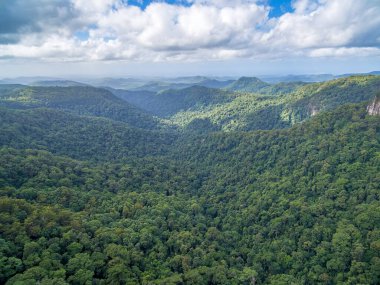 Springbrook Ulusal Parkı 'nın güzel manzarası, QLD, Avustralya