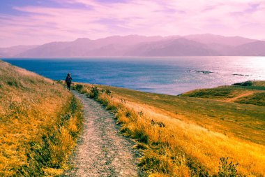 Kaikoura, Güney Adası, Yeni Zelanda 'da yürüyen kişi.
