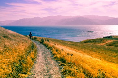 Person walking on a path in Kaikoura, South Island, New Zealand clipart