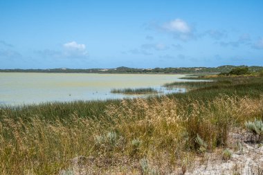 George Gölü Güney Avustralya 'daki Beachport Koruma Parkı' nda.
