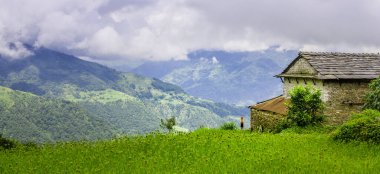 Yalnız çocuk kulübesinin yanında duruyor, pirinç tarlalarının arasında, Katmandu Vadisi, Nepal