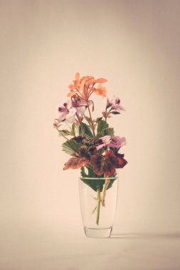 Bahar çiçekleri retro tarzı.