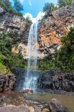 Springbrook Ulusal Parkı 'nda şelale. Queensland, Avustralya 'ya gökkuşağı düştü