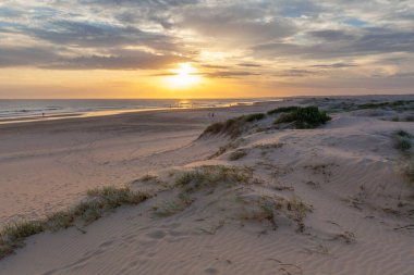 İnsanlar gün batımında Birubi plajında siluetler. Anna Körfezi, Yeni Güney Galler, Avustralya