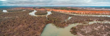 Güney Avustralya 'nın Riverland bölgesinde Murray Nehri' nin geniş hava manzarası