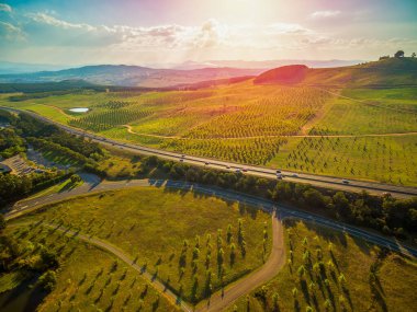 Tuggeranong Parkway 'in hava manzarası Canberra, Avustralya' daki Ulusal Botanik Bahçesi 'nin yanından geçiyor.