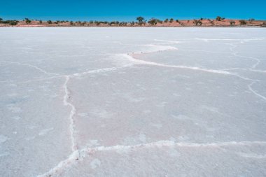 Avustralya 'da tuzlu göl yüzeyine yakın çekim