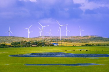 Avustralya 'nın kırsal kesiminde çayırlık ve rüzgar türbinleri var. Kır yaşamı ve sürdürülebilir enerji kavramı