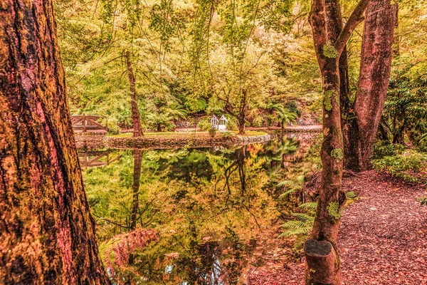 Melbourne April 2016 Alfred Nikolaus Gedenkgarten Schöner See Zwischen Bäumen — Stockfoto