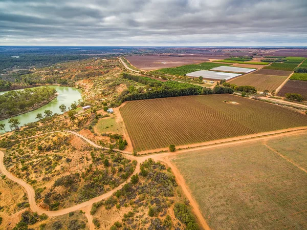 Flygfoto Landskap Vingård Nära Murray River Murtho Riverland Australien — Stockfoto