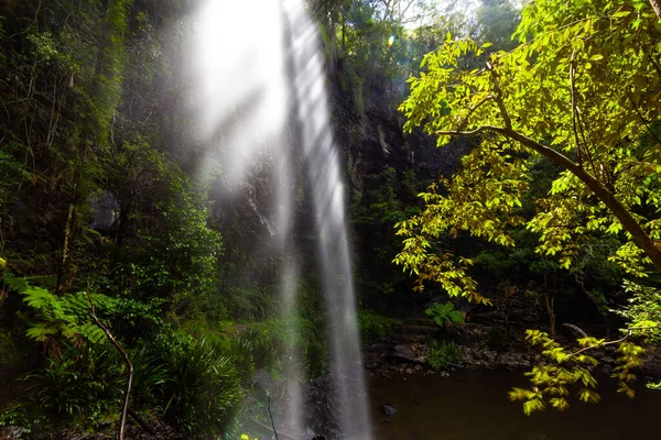 Twin Falls Sunshine Springbrook National Park Rainforest Queensland Austrálie — Stock fotografie