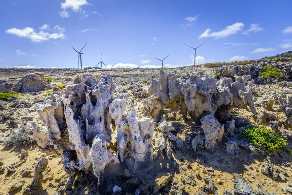 Погодні Породи Вітрові Турбіни Концепція Відновлюваної Енергетики Збереження Землі — стокове фото