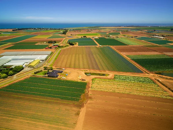 Flygfoto Utsikt Över Jordbruksfält Nära Havet Kust Australien — Stockfoto