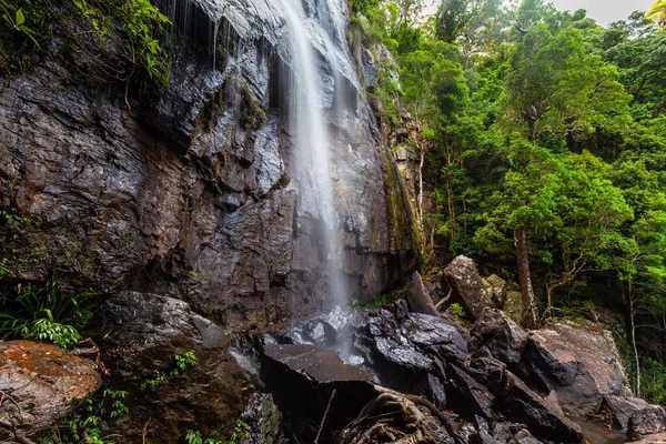 Mokré Skály Vodopád Bujné Zelené Vegetaci Mírného Deštného Pralesa Národní — Stock fotografie