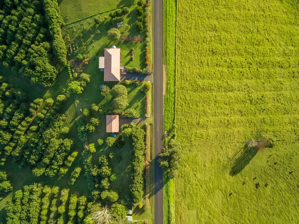 Vista Aérea Olhando Para Grama Verde Casas Rurais Pôr Sol — Fotografia de Stock