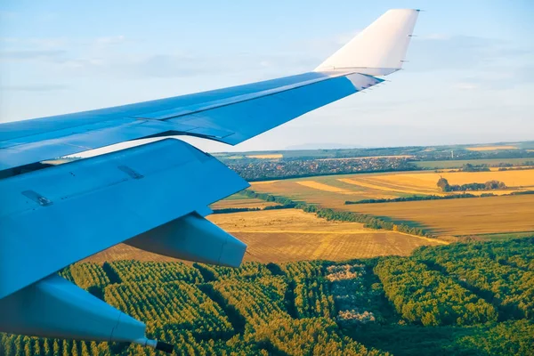 黄色い農地と木々の上に着陸しようとする旅客機の翼 — ストック写真