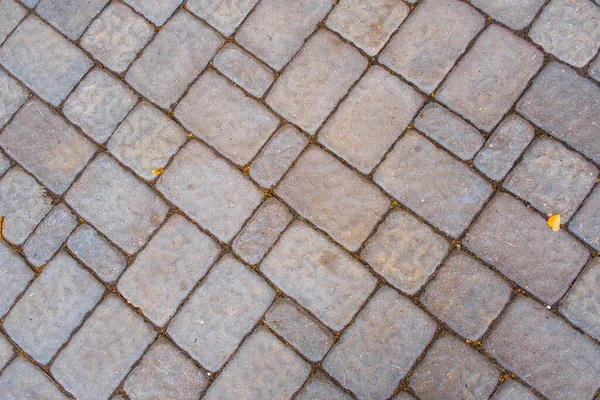 Brick Pavement Background Texture Overlay — Stock Photo, Image