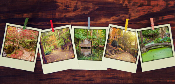Instant photos of beautiful garden views in autumn hanging. Travel memories of good time scrapbooking