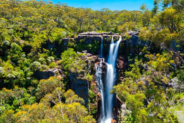 卡灵顿瀑布 Carrington Falls 澳大利亚新南威尔士州南部高地地区袋鼠河的瀑布 — 图库照片