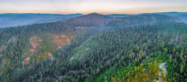 Les Holých Stromů Hor Při Západu Slunce Letecké Panorama — Stock fotografie