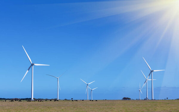 Windfarm (group of windmills) - Clean Energy production, Victoria, Australia